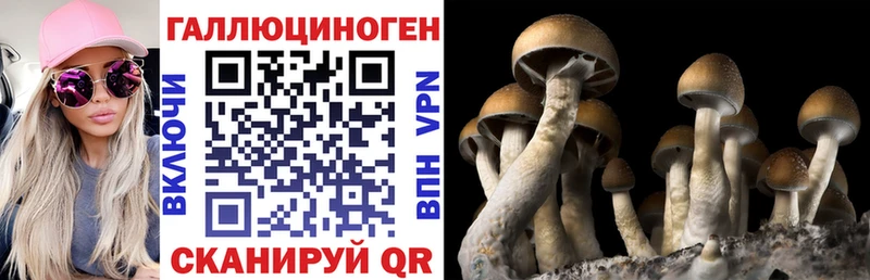 Псилоцибиновые грибы GOLDEN TEACHER Купить закладки Берёзовка
